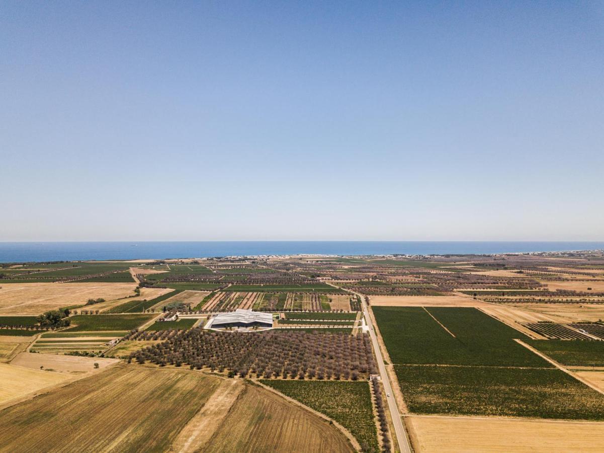 Masseria Torleanzi Wine Relais San Pietro Vernotico Exterior photo